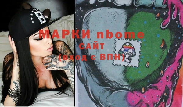 хмурый Алзамай