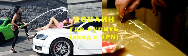 хмурый Алзамай