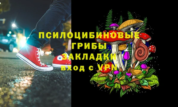 хмурый Алзамай