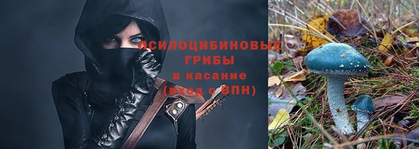 хмурый Алзамай