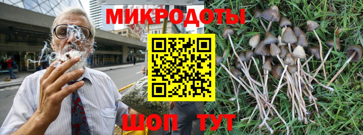 Галлюциногенные грибы Psilocybine cubensis  наркотики  Вход с VPN  Большой Камень  Галлюциногенные грибы Cubensis 