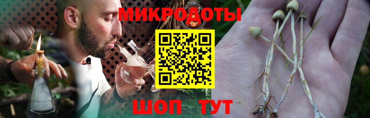 Галлюциногенные грибы MAGIC MUSHROOMS Большой Камень